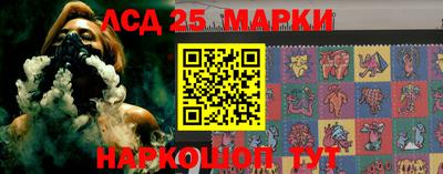 гашик Новодвинск