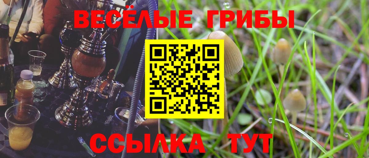 Галлюциногенные грибы прущие грибы Строитель